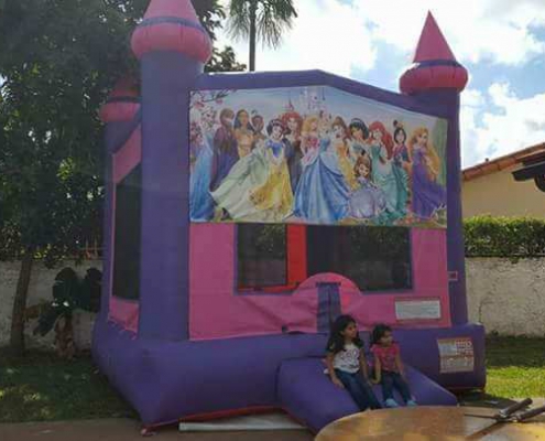 Girl bounce house Disney Princess bounce house